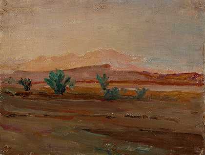 《撒哈拉沙漠》（雨后沙漠），作者：Jan Ciągliński
