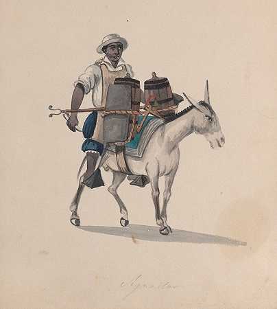 弗朗西斯科·费罗（Francisco Fierro）的《骑着驴的水运船》
