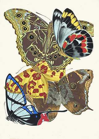 “Papillons，第15页，Emile Allain Séguy著