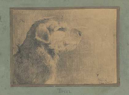 阿诺德·彼得·韦斯·库班的《狗提兰》