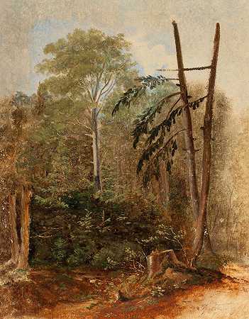 卡尔·斯皮茨威格的《林地风景研究》