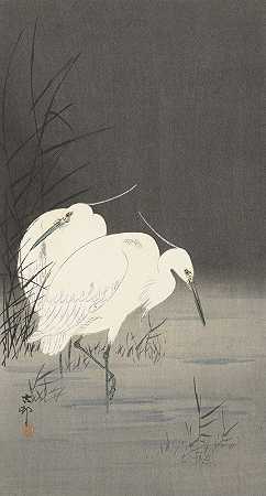 《芦苇中的两只白鹭》作者：Ohara Koson