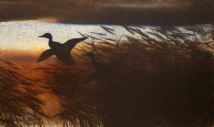 布鲁诺·利尔杰福斯的《夏夜鸭子升空》