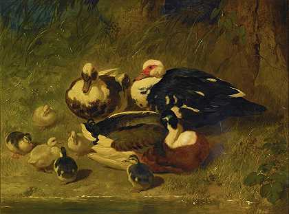 约翰·弗雷德里克·赫林（John Frederick Herring Sr.）的《莫斯科鸭子与鸭子》。