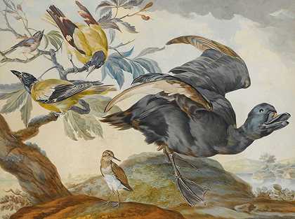 “一只鸭子和其他四只鸟，三只在一根树枝上，围绕着艾特·肖曼的圆圈