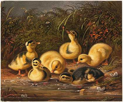 阿瑟·菲茨威廉·泰特的《一群鸭子》