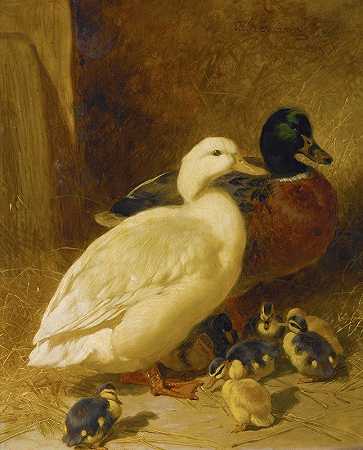 《鸭子和鸭子》作者：约翰·弗雷德里克·赫林。