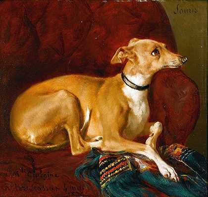 雅克·雷蒙德·布拉斯卡萨特的《躺在椅子上的灰狗》