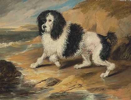 埃德温·亨利·兰瑟爵士的《塔帕格尔，属于弗雷德里克·拜恩的贵宾犬》