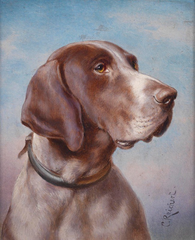 卡尔·赖切特的狗肖像