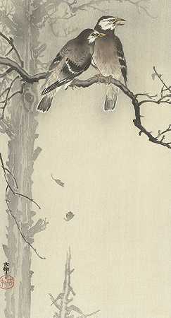 《两只灰椋鸟》作者：Ohara Koson