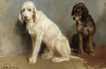 Rosa Bonheur的《两只狗的研究》