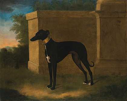 约翰·伍顿的《灰狗肖像》