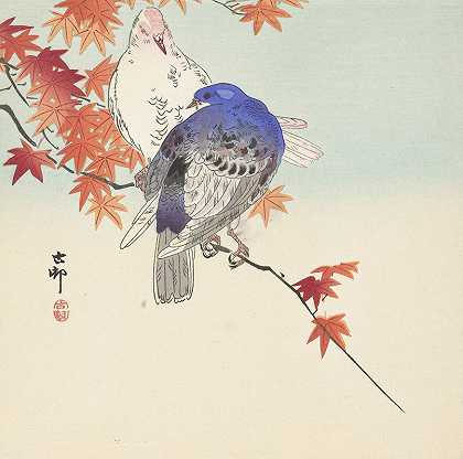 《秋日枝上的两只鸽子》作者：Ohara Koson