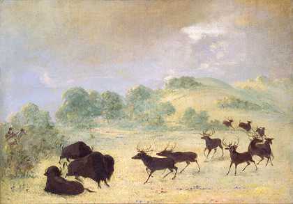 乔治·卡特林著《麋鹿和水牛结识》，德克萨斯州