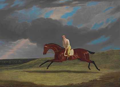 约翰·弗雷德里克·赫林（John Frederick Herring Sr）的《灯芯绒，海湾赛马场》（Corduroy），一名骑师在赛马场上驰骋。
