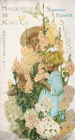 莎拉·史迪威尔·韦伯的《曼德维尔与国王》，优质花卉种子