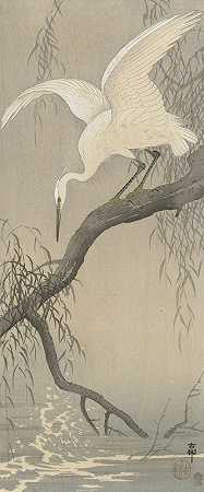 《树枝上的白鹭》作者：Ohara Koson