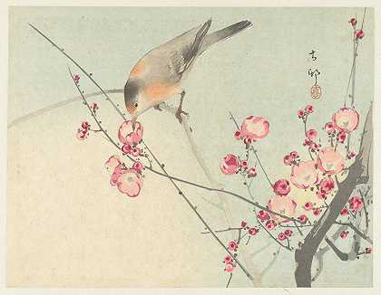 《花枝上的鸣鸟》作者：Ohara Koson