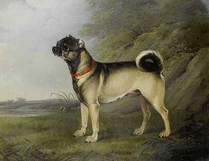 亨利·伯纳德·查伦的《最爱的小狗婊子》
