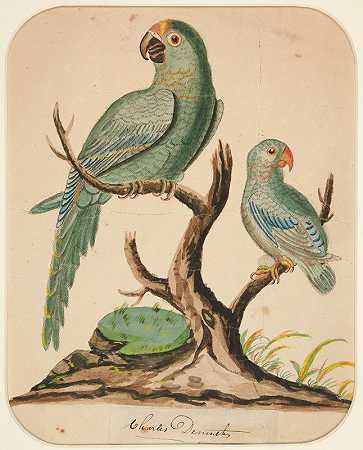 查尔斯·德茅斯的《荒树上的两只鹦鹉》