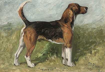 约翰·埃姆斯的《Tomboy，风景中的小猎犬》