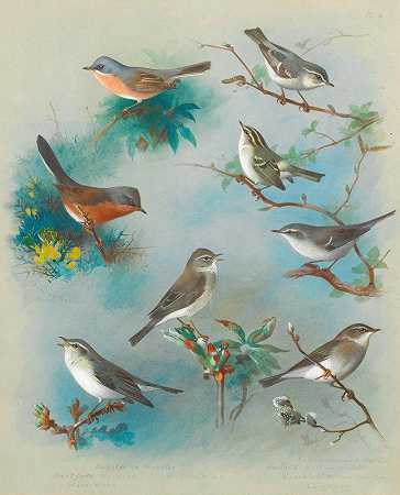 阿奇博尔德·索本的《莺与鹪鹩》
