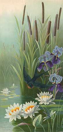 Le Roy的《带着猫尾植物、鸢尾花和睡莲飞过水面的鸟》