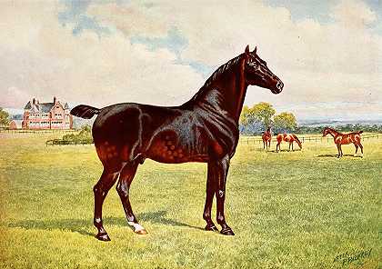 彭里·鲍威尔·帕尔弗雷（Penry Powell Palfrey）的《伯克利模特儿双料冠军小马种马》