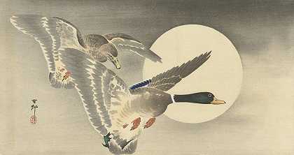 《满月的两只鸭子》作者：Ohara Koson