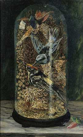 阿瑟·H·戴维斯的《圆顶里的填充鸟》