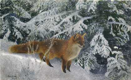 布鲁诺·利尔杰福斯的《冬天的狐狸》