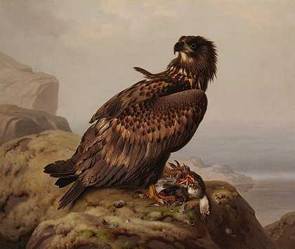 费迪南德·冯·赖特的《白尾鹰及其猎物》