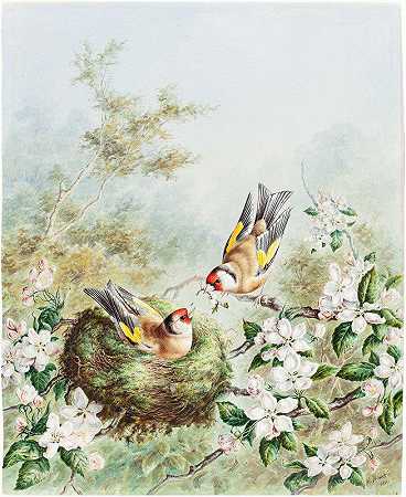 哈里·布赖特的《金雀和它们在苹果树上的巢》