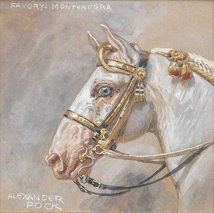 亚历山大·波克的《喜爱黑山的马》