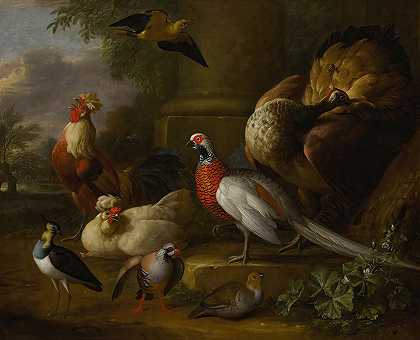 托比亚斯·斯特拉诺夫的《风景中的孔雀、野鸡、鸡、鹧鸪和翻领》