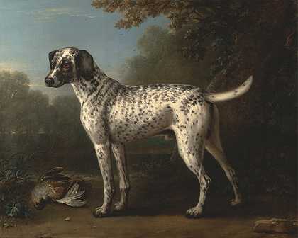 约翰·伍顿的《灰斑猎犬》