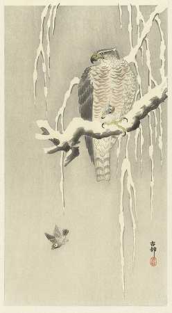 Ohara Koson的《鹰与捕获的树麻雀》