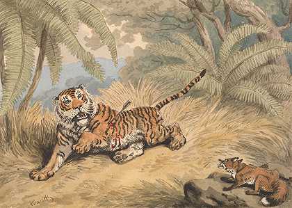 塞缪尔·霍伊特的《一只被箭刺穿的老虎》
