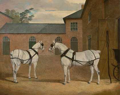 约翰·弗雷德里克·赫林·斯纳尔（John Frederick Herring Snr）在赫特福德郡普特里奇伯里（Putteridge Bury）的草棚里的灰色马车马。