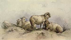 《风景中的羊》作者：Anonymous