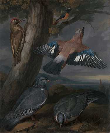 弗朗西斯·巴洛的《杰伊、绿啄木鸟、鸽子和红星风景与一只绿啄木鸟、一只杰伊、两只鸽子、一只红星、一只蜥蜴和两只青蛙》
