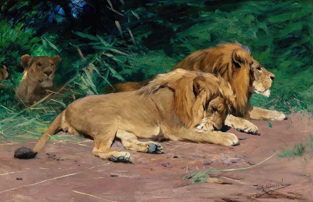 “Ruhende Löwen（《休息的狮子》）作者：Wilhelm Kuhnert