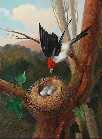 米开朗基罗·穆奇的《鸟巢》