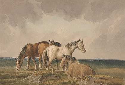 托马斯·克雷斯威克的《威尔士摩尔四匹马》