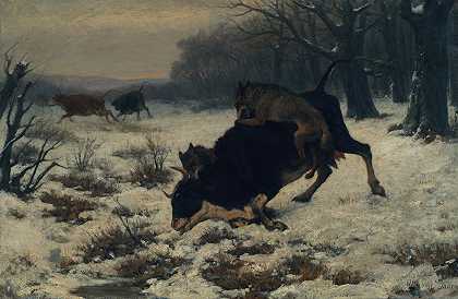 “一头牛被奥托·冯·索伦的狼袭击