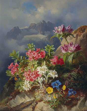 安德烈亚斯·拉赫的《高山花卉静物》