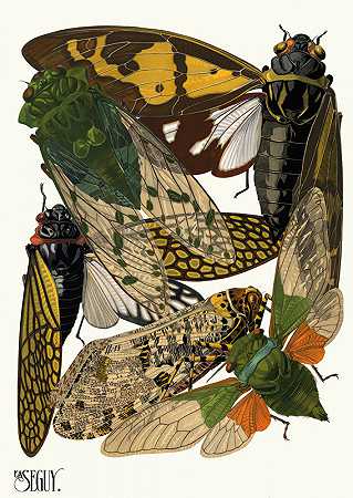 埃米尔·艾伦·塞盖伊的《昆虫Pl.12》