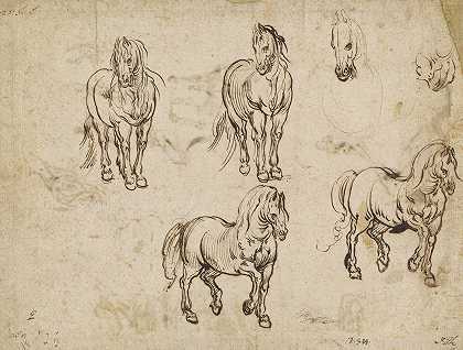 雅克·卡洛特的《马的研究》