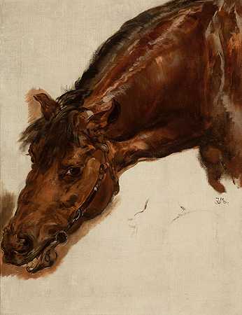 Jan Matejko的《马头研究》